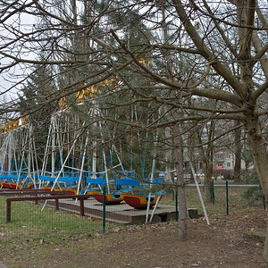 27.01.2018 (парк) (6)