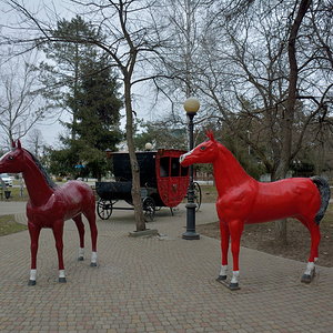 27.01.2018 (парк) (30)